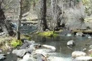 COTTONWOOD (CA) Creek