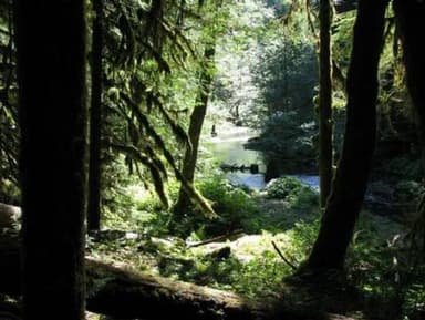 LOST CREEK