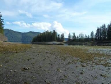 PYBUS BAY CABIN viewshed