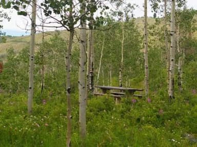 NARROWS CAMPGROUND