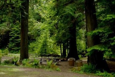 North Fork Bear Group Camp