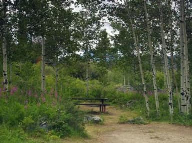 NARROWS CAMPGROUND