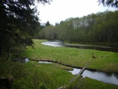 ADMIRALTY COVE CABIN grounds
