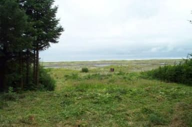 SOFTUK BAR CABIN2