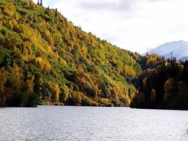 WEST SWAN LAKE CABIN