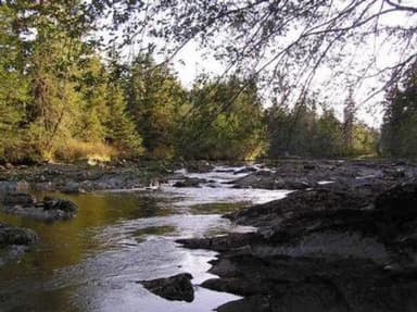 CASTLE RIVER CABIN6