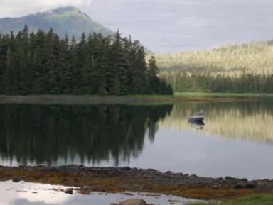 PORTAGE BAY CABIN1