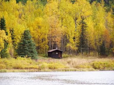 SWAN LAKE CABIN SEWARD2