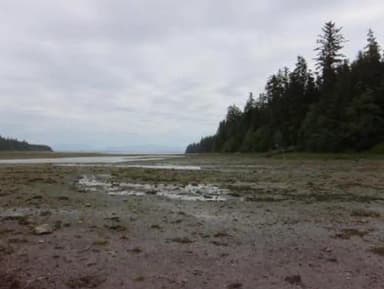KADAKE BAY CABIN4