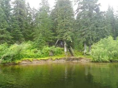 Mount Rynda Cabin with surrounding scenery of trees, water and 3 foot mudbank with stairs leading to cabin