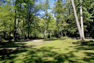 FIELD AT WHITE PINE SOUTH GROUP CAMP