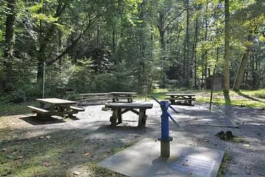 WHITE PINE SOUTH GROUP CAMP PICNIC AREA