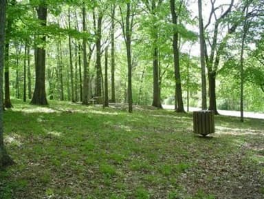JEFFERSON SPRINGS - picnic sites