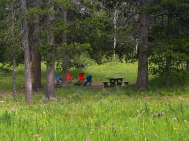 Campsite surrounded by pine trees,  picnic table, fire ring & camp chairs