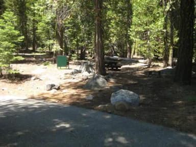 LEWIS at FRENCH MEADOWS