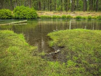 CAMP SHERMAN CAMPGROUND