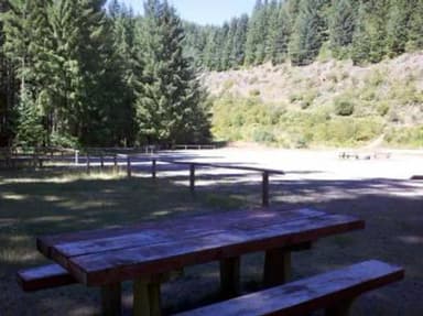Picnic table in shade across a flat gravel road from a sunny meadow with a shrub and conifer covered backdrop.