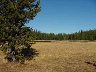 MUD LAKE CAMPGROUND