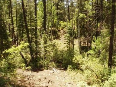 EAST FORK CAMPGROUND