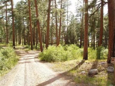 GRAHAM CREEK CAMPGROUND