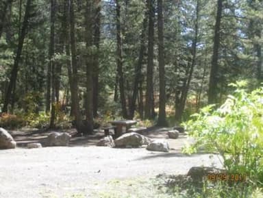 Campsite surrounded by pine trees,  picnic table & fire ring