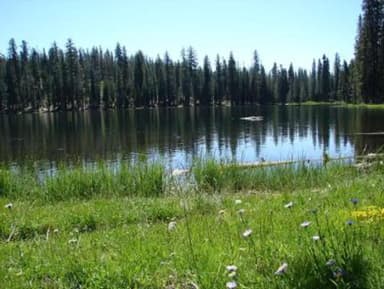 SUMMIT LAKE  WITH MEADOW