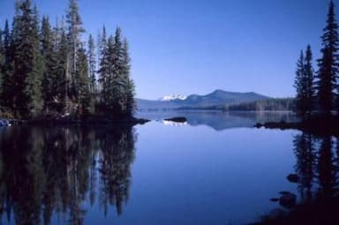 NORTH WALDO