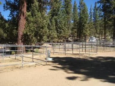 WILD HORSE EQUESTRIAN FAMILY
