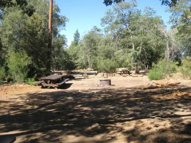 Shade, picnic tables & fire pits of the Oso Group Campground ..