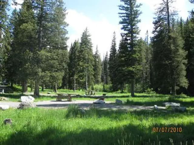 Langohr Campground - campsite surrounded by pine trees, picnic table & fire ring