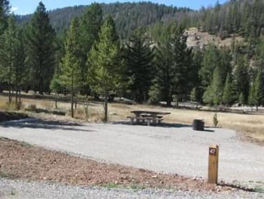 Campsite surrounded by pine trees,  picnic table & fire ring