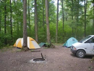EASTWOOD campsite