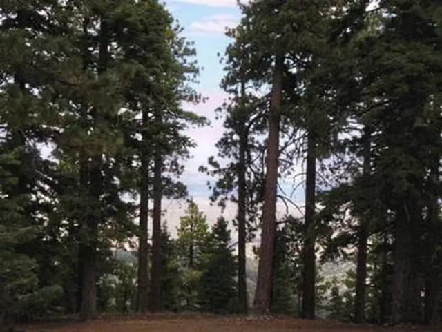 JACKSON FLATS