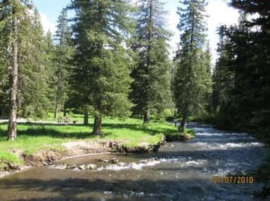 Hyalite Creek & pine trees