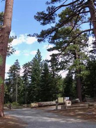 JACKSON FLATS