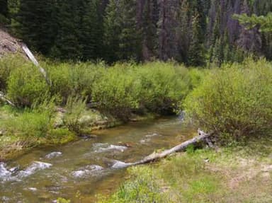 Huntington Creek