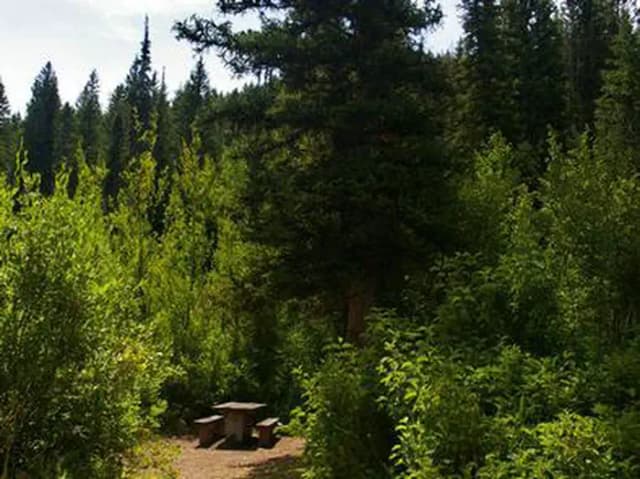 PARIS SPRINGS CAMPGROUND