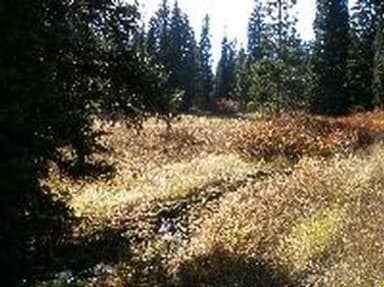 EMIGRATION CAMPGROUND