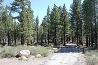 NEW SHADY REST CAMPGROUND