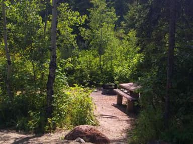 PARIS SPRINGS CAMPGROUND