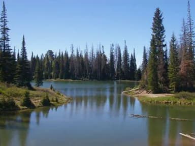Potters    Pond