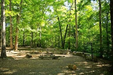 BADIN LAKE GROUP CAMP