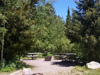 Big Springs campsite in the sun