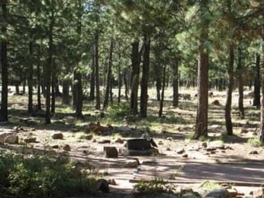 CROOK CAMPGROUND Overview