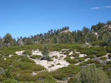 View from Shady Cove Group Campground.