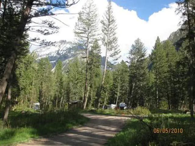 Pine Creek Campground - road through campground, pine trees and RV's