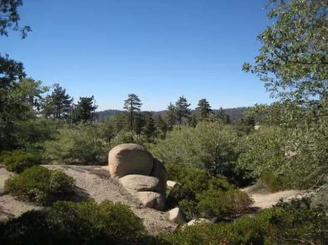 View from Shady Cove Group Campground
