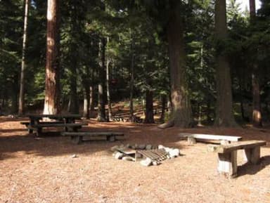 CLEAR LAKE GROUP SITE