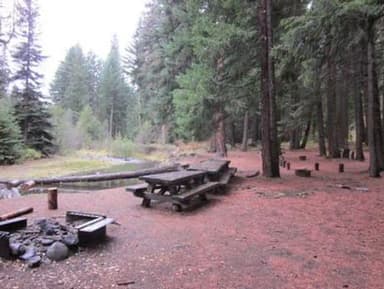 Fire ring and picnic tables on flat needle covered ground in pine forest