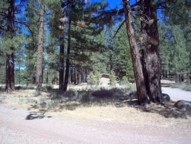 BOCA SPRING